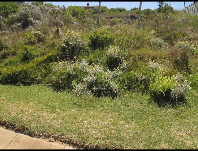 LAND FOR SALE IN DANA BAY